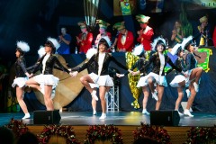 20200208-Büttenabend-I-0478