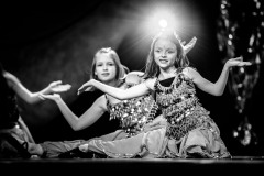 20200208-Büttenabend-I-0625