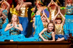 20200208-Büttenabend-I-0674