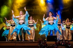 20200208-Büttenabend-I-1229