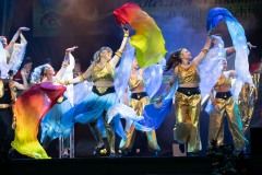 20200208-Büttenabend-I-1271