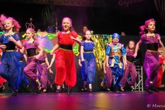 2020_bbcc_kf_0039_p2238832_49695015387_o