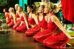 2020_bbcc_wfn_0088_p2208395_49718226441_o